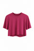 HAVEONE-T-SHIRT CROPPED MANICHE CORTE (61)