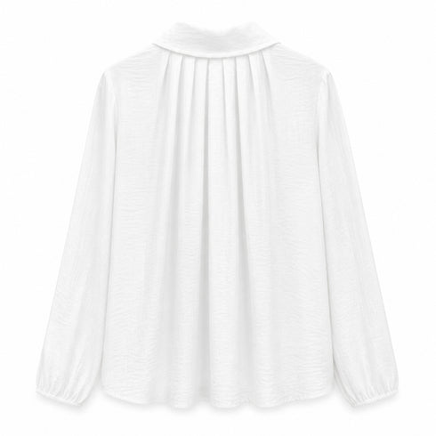 CAMICIA A MANICHE LUNGHE (109)